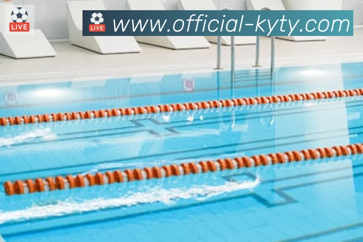 App Interface Preview